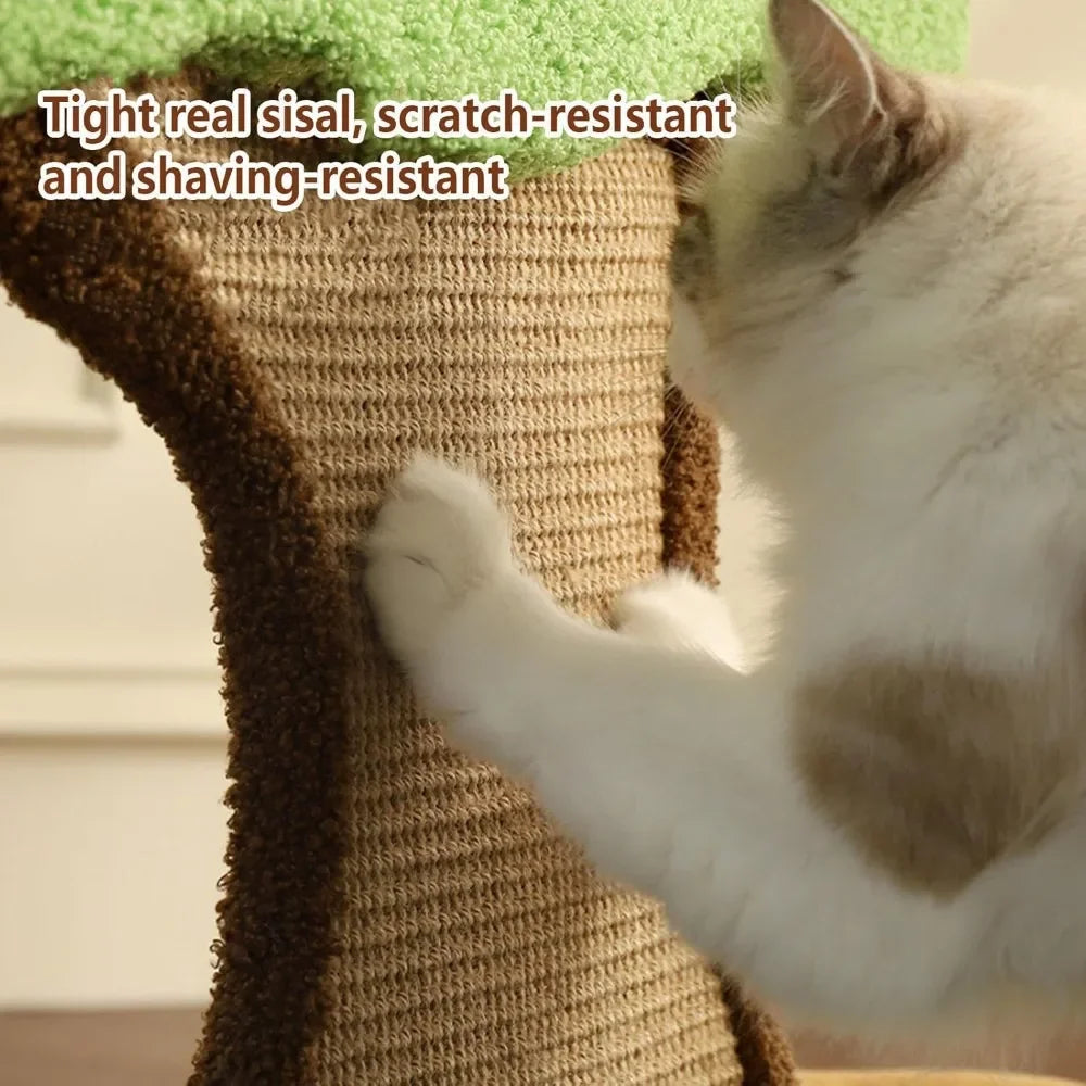 Cat Scratcher Bed.