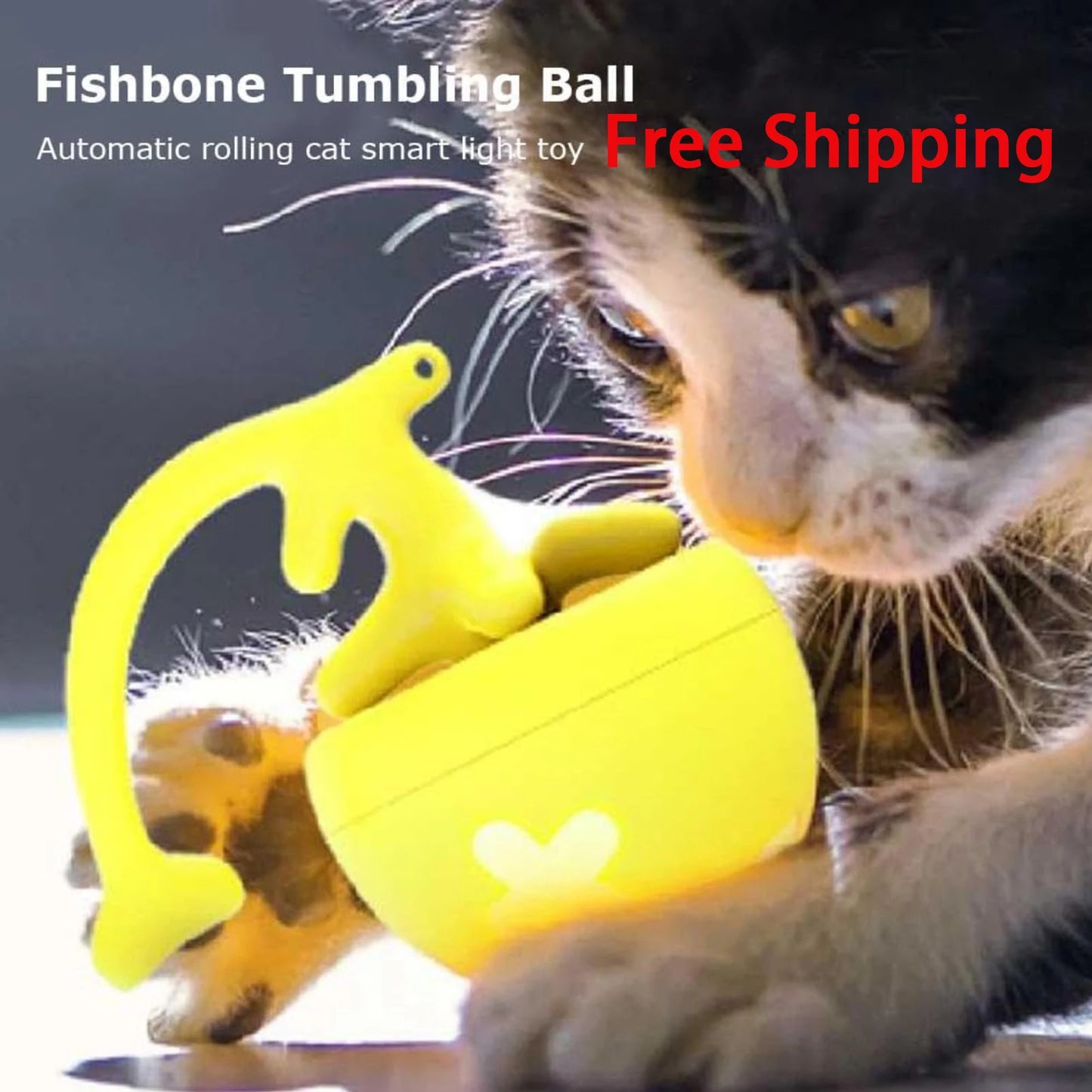 Cat Toy Fish Bone Spinning Ball.