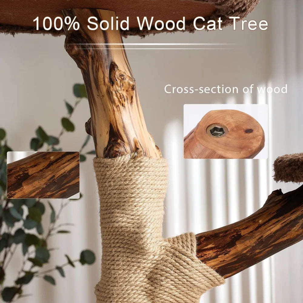 Tall Modern Wood Cat Tree.
