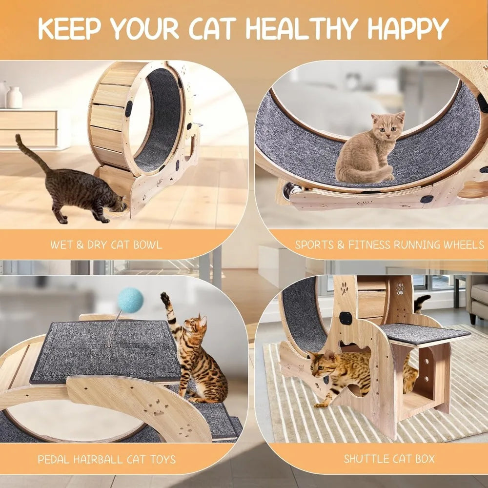 Upgraded Cat Wheel.