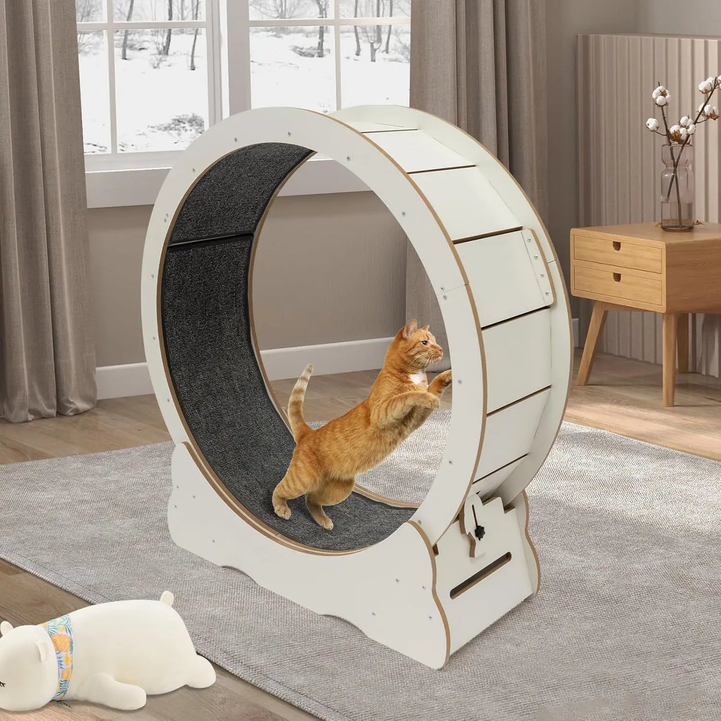 Cat Exercise Wheel.