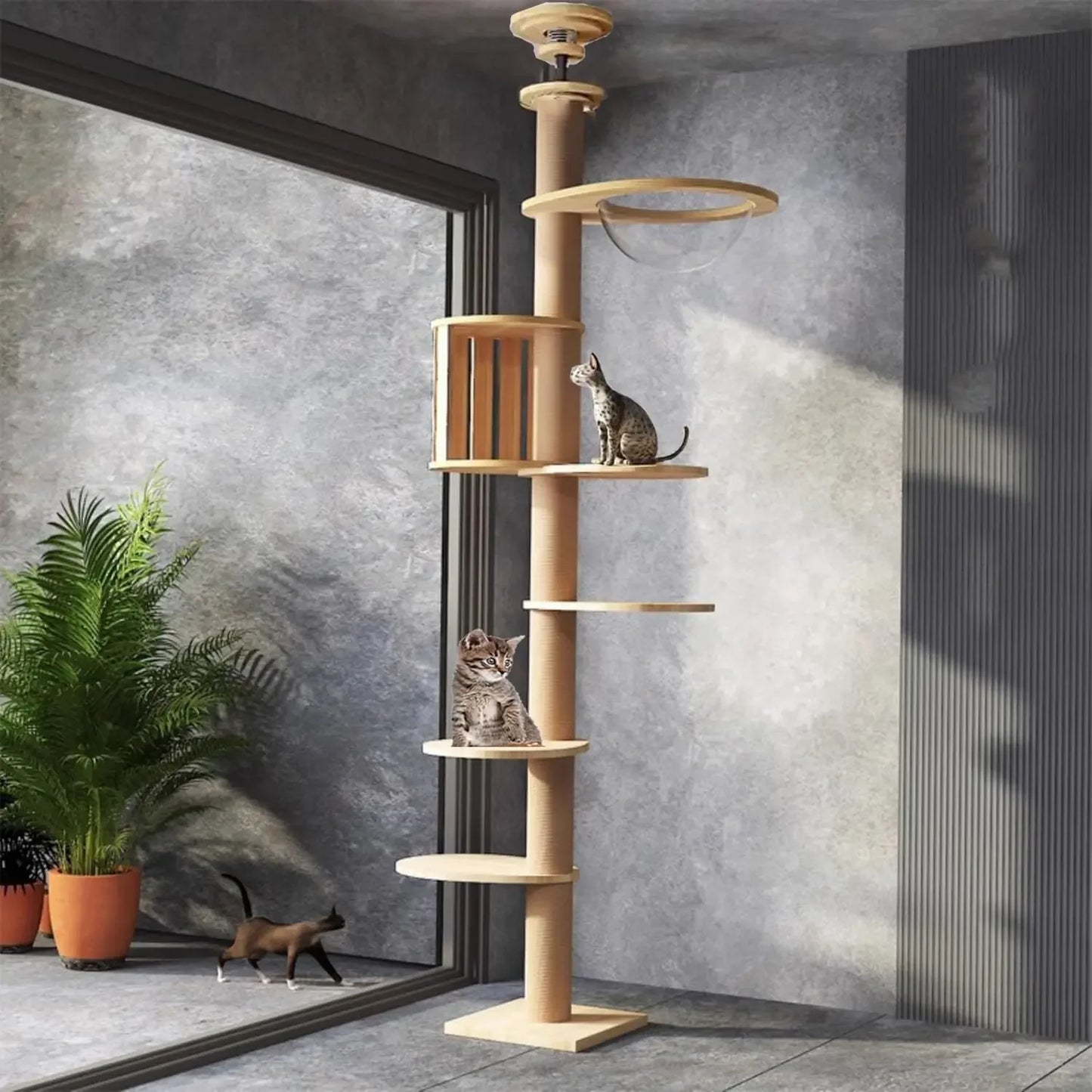Floor to Ceiling Cat Tree.