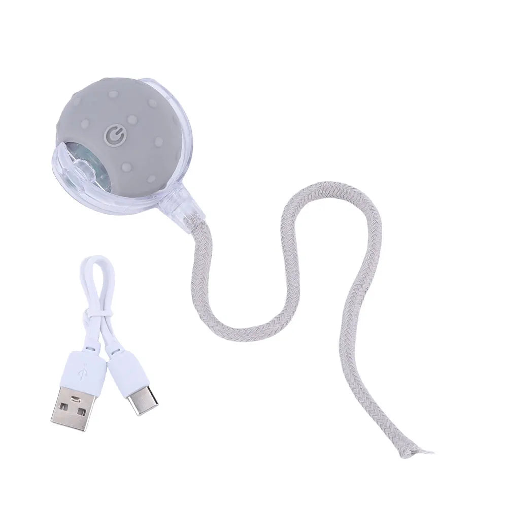 Cat Interactive Ball Toys.