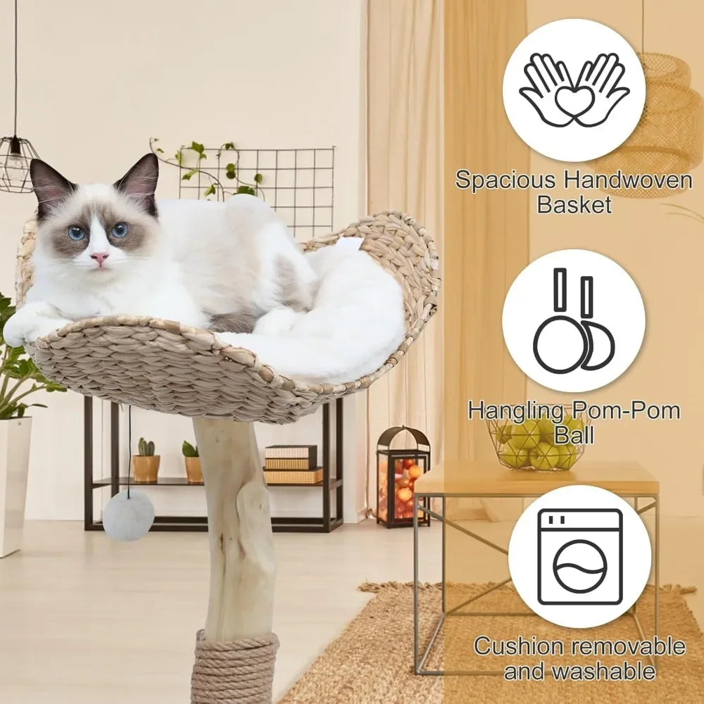 Modern Cat Tree.