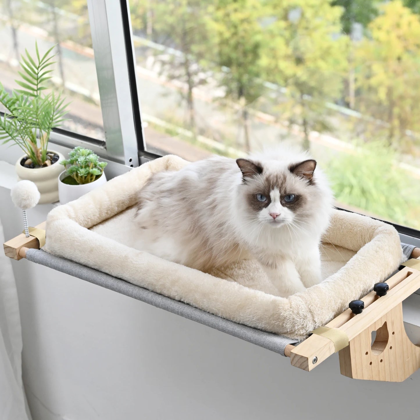 Window Hammock Bed.