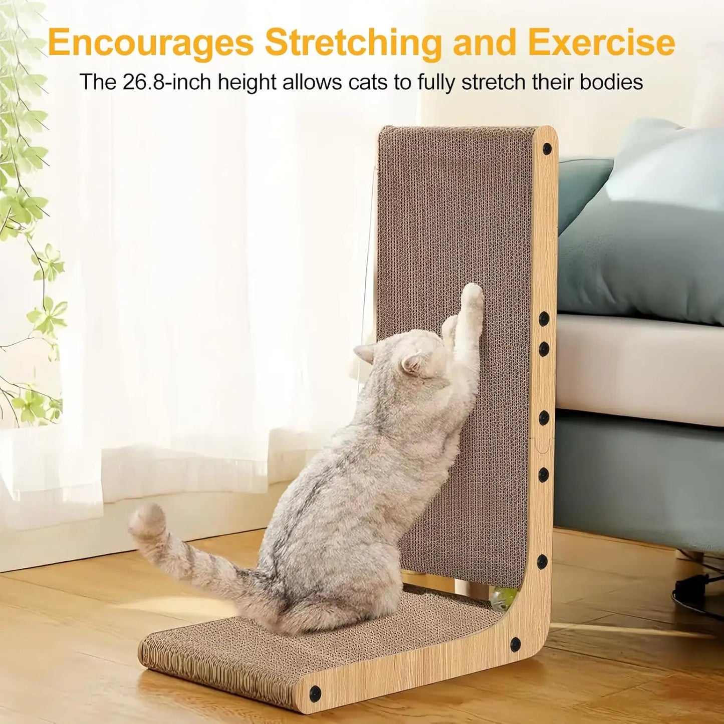 Cat Scratching Board.