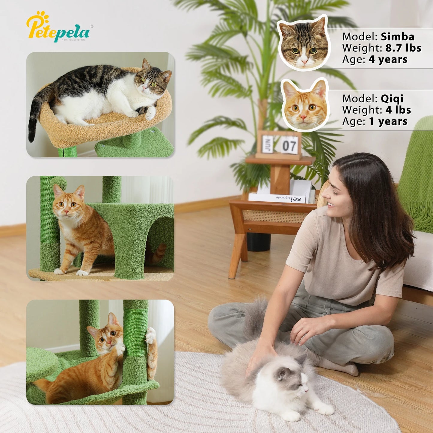 Cat Tree for Large Cats.