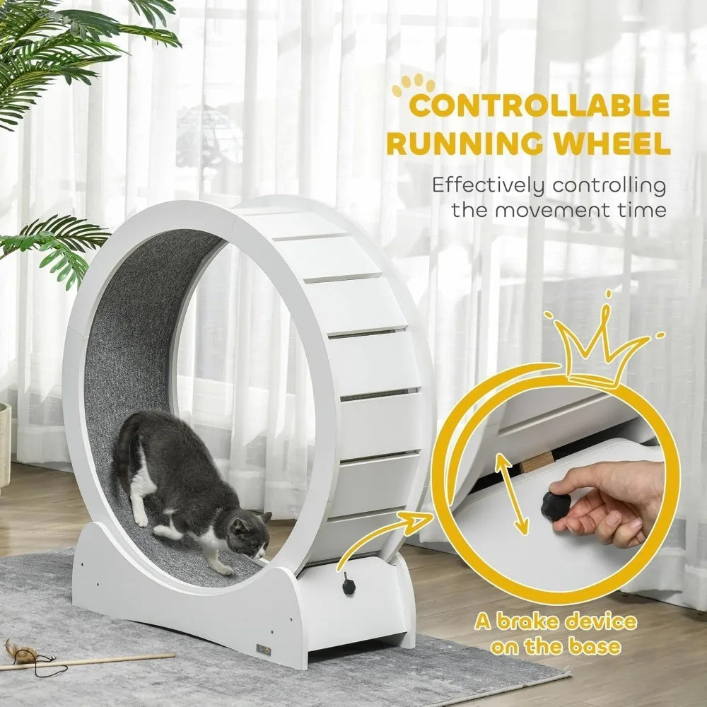 Cat Wheel.