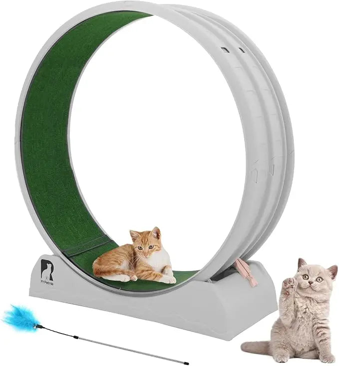 Cat Exercise Wheel.