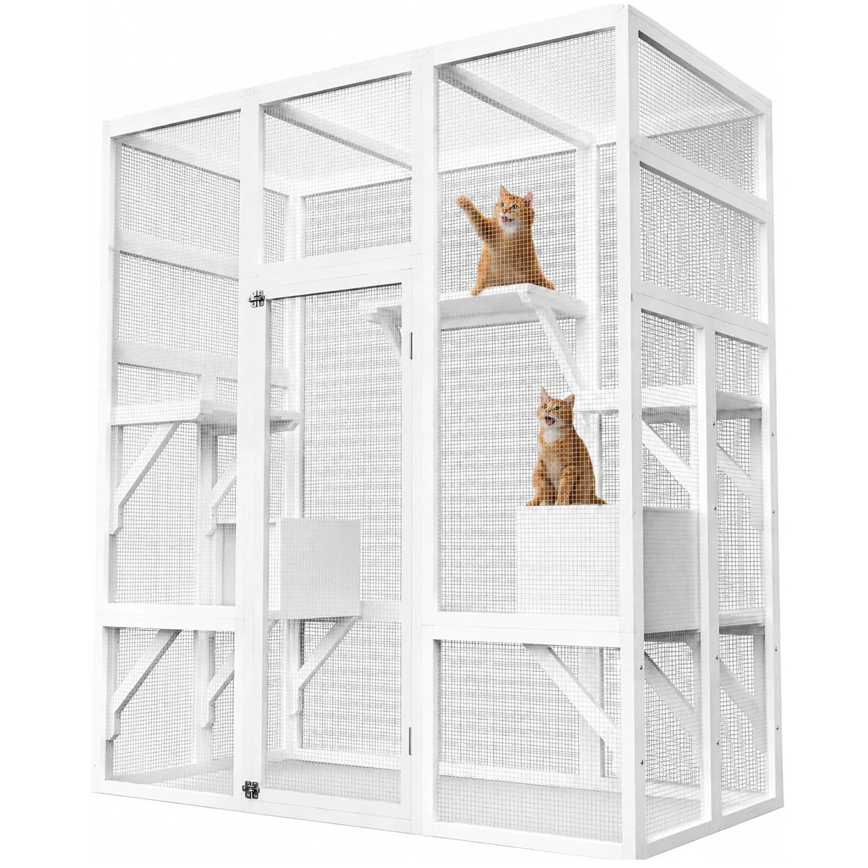 Outdoor Catio Cat Enclosure.