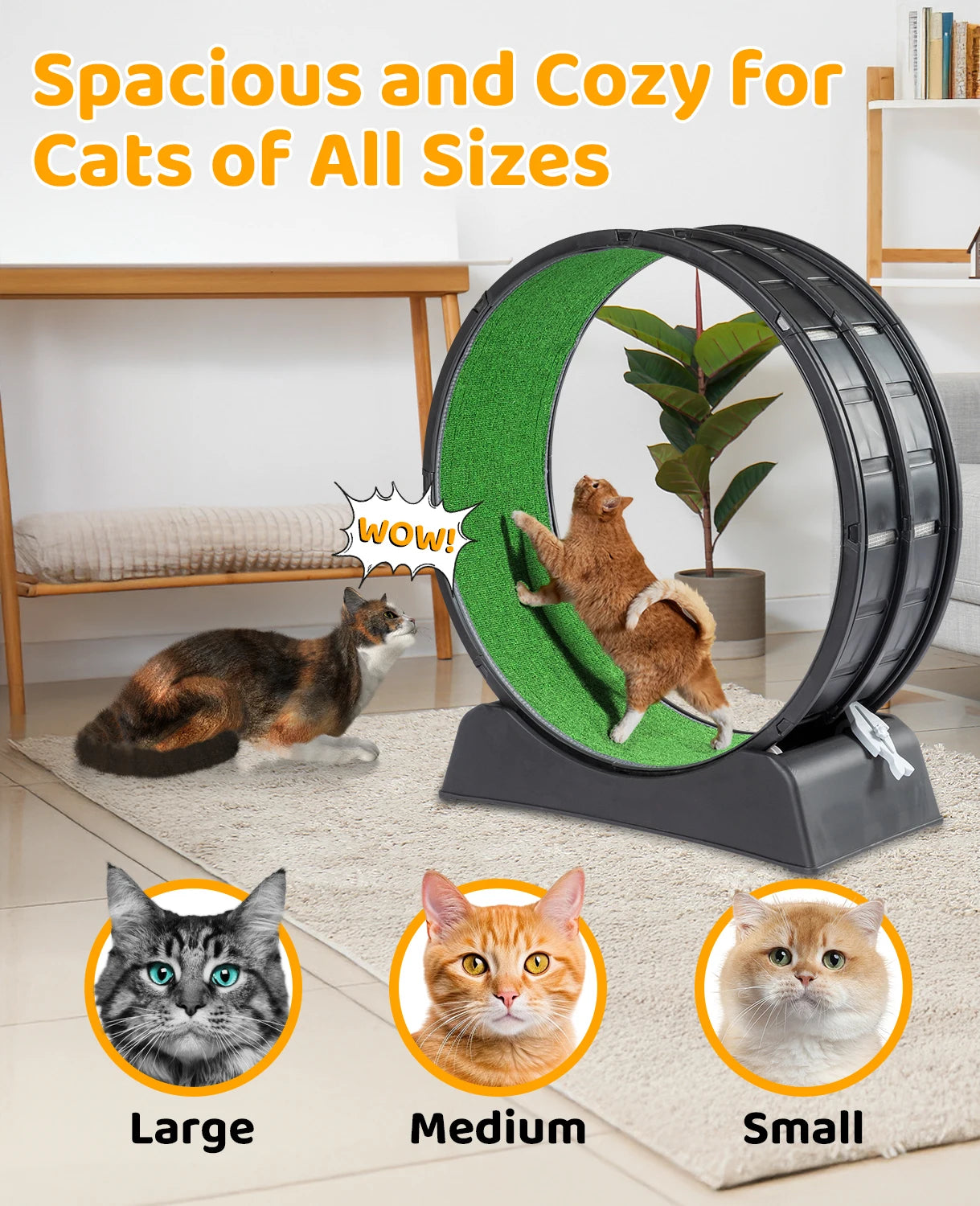 Cat Exercise Wheel.