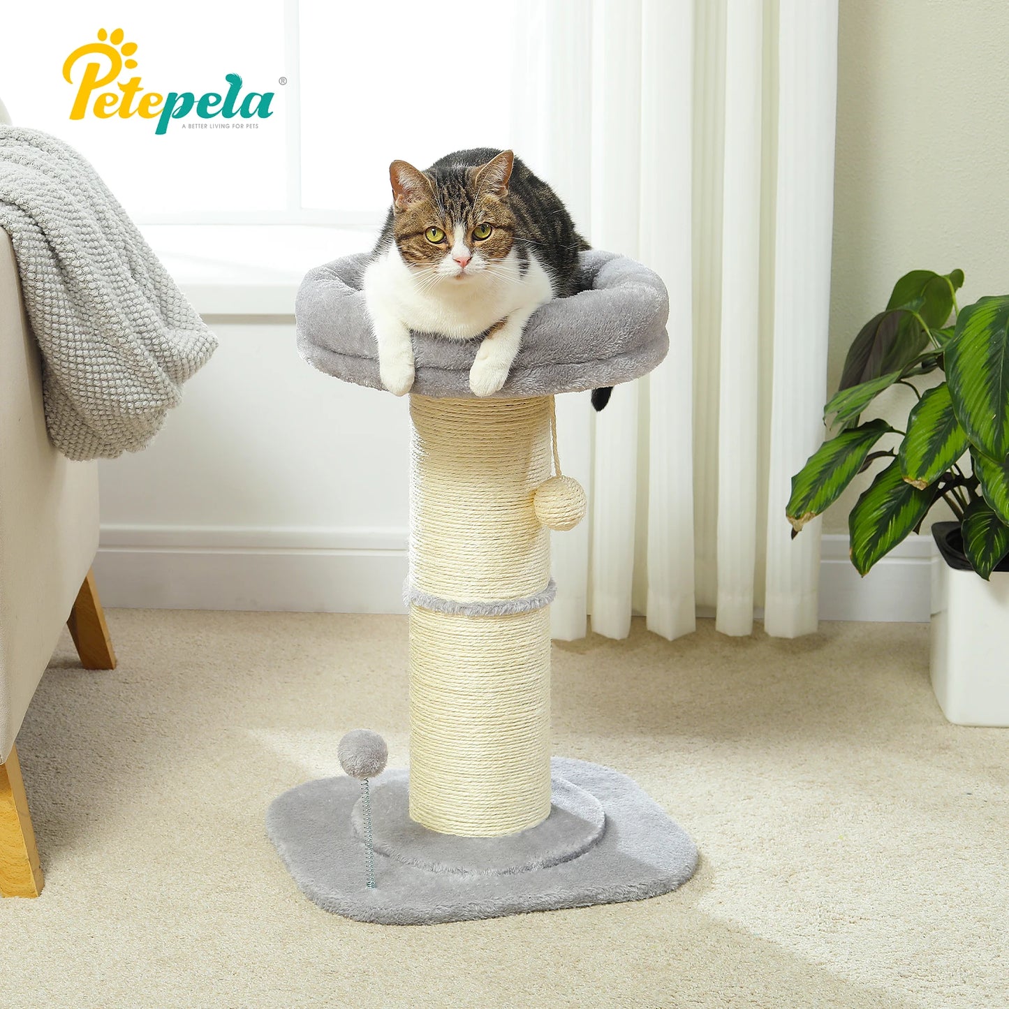 Flower Small Cat Tree.