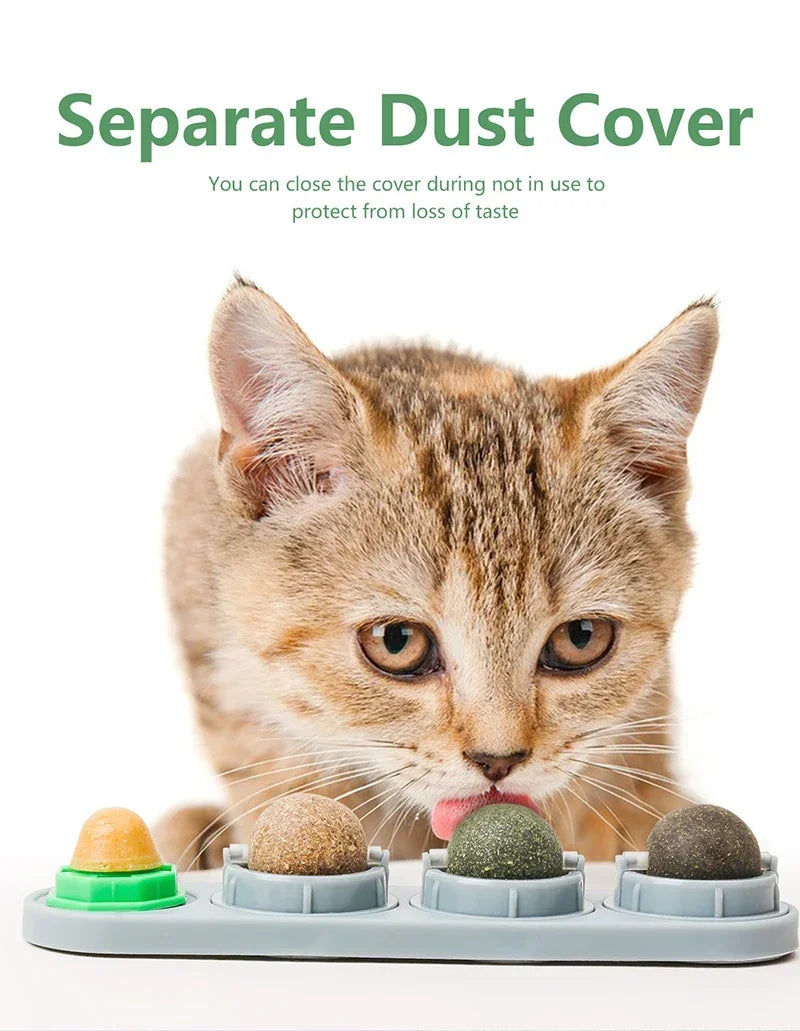 Catnip Toys.