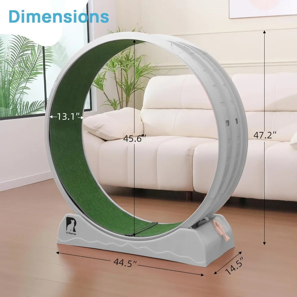 Cat Exercise Wheel.
