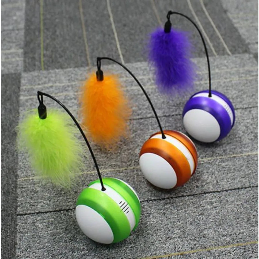 Rolling Pet Toys.