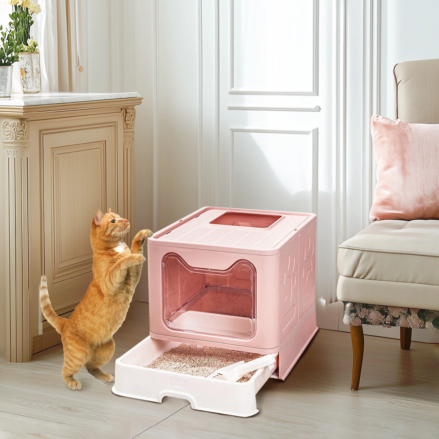 Large Enclosed Cat Litter Box.