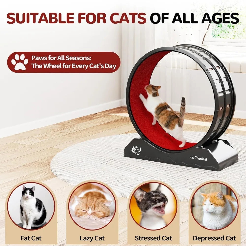 Cat Exercise Wheel.