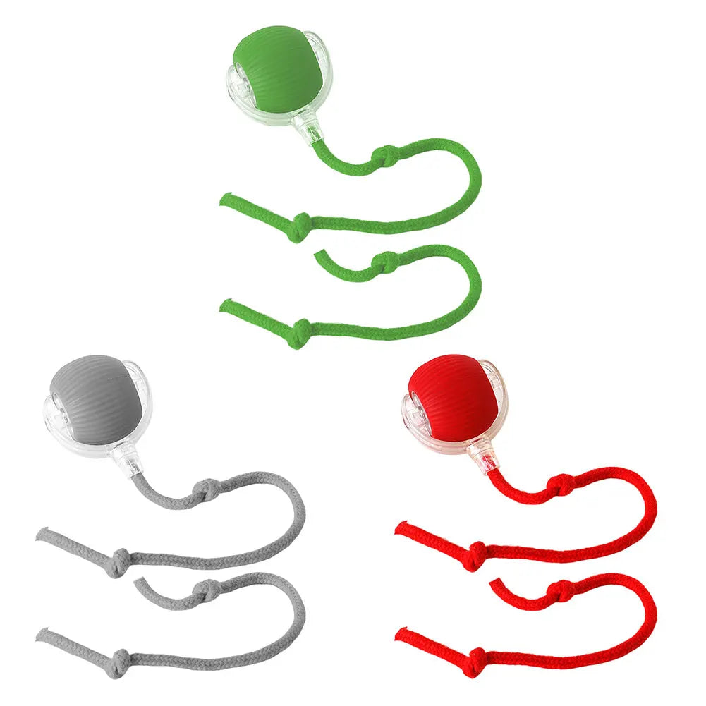 Cat Interactive Ball Toys.