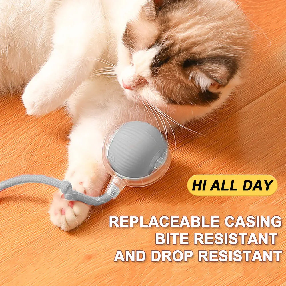 Interactive Cat Ball Toys.