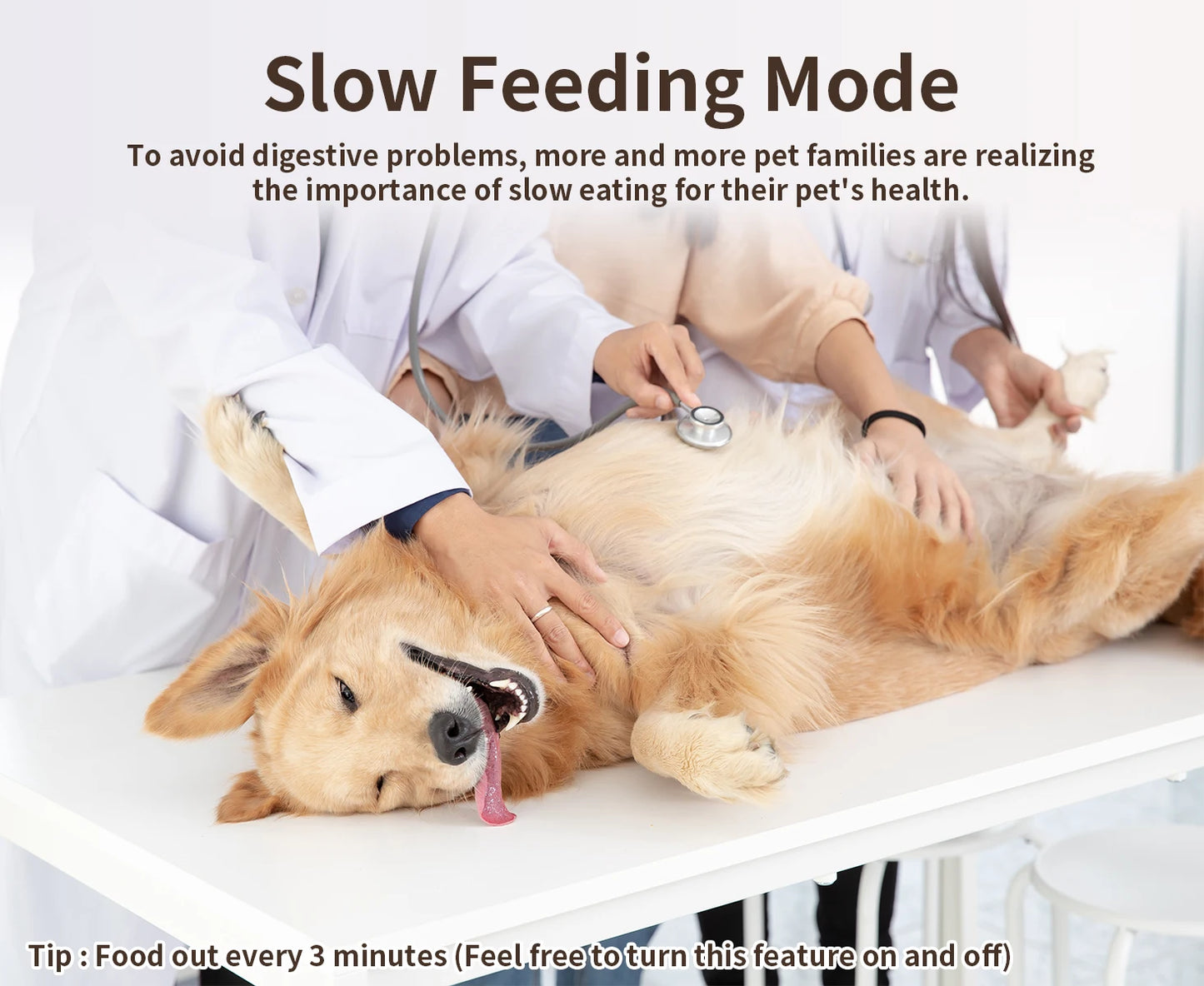 PAPIFEED Smart Automatic Cat Feeders.