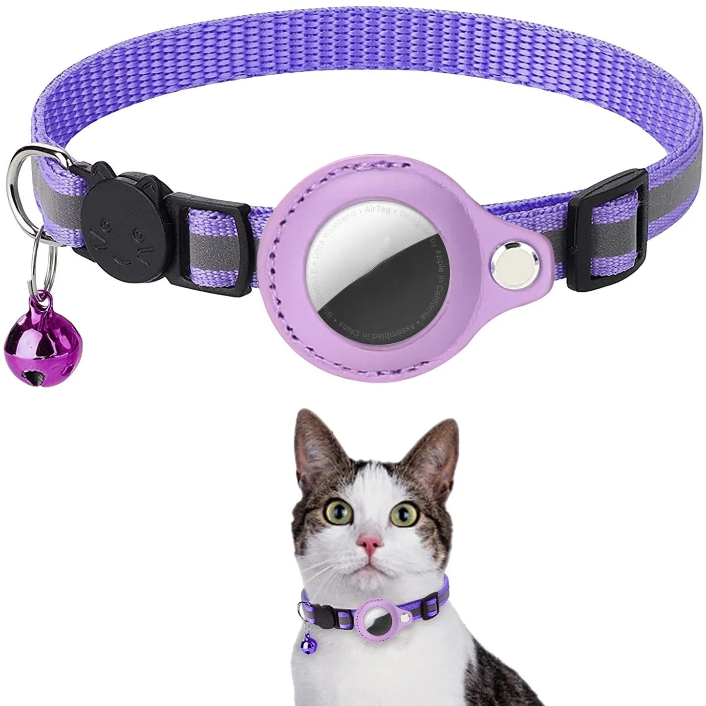 Cat Positioning Collar.