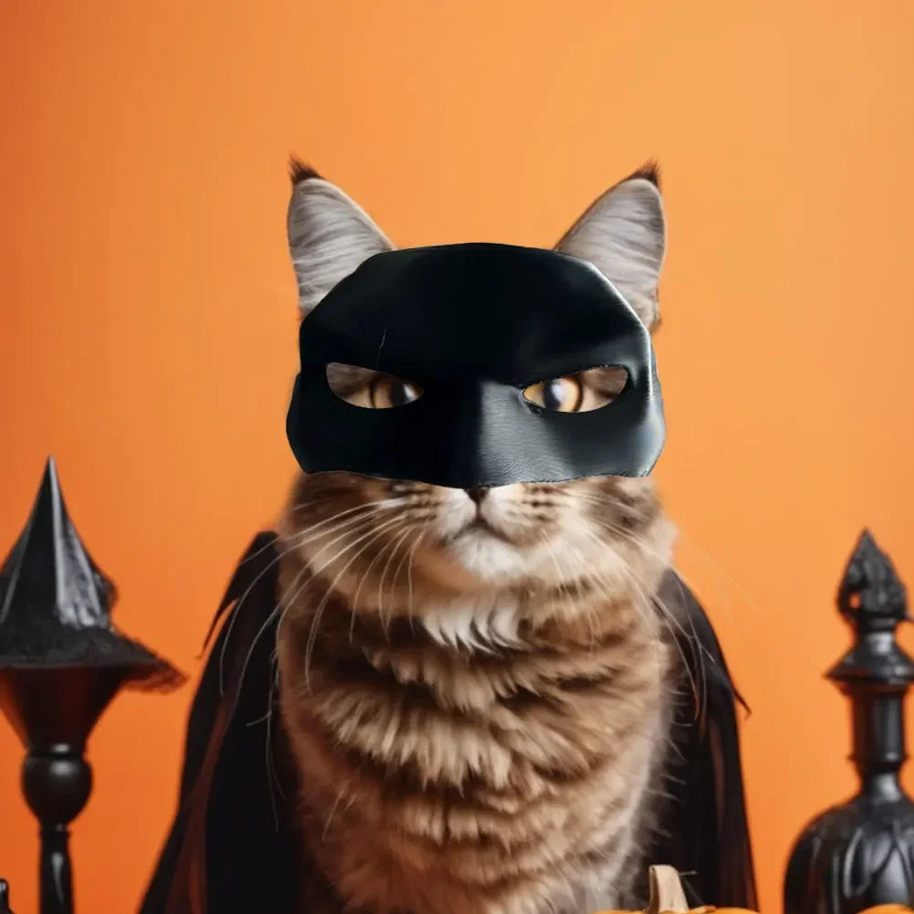 Cat Batman Mask.