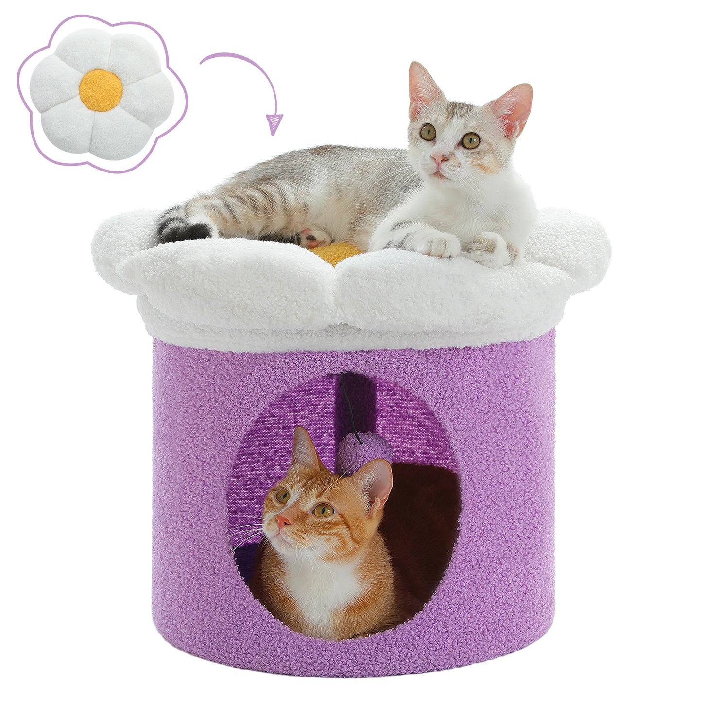 Cat Beds for Indoor Cats.