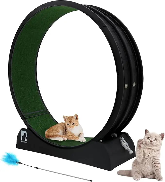 Cat Exercise Wheel.