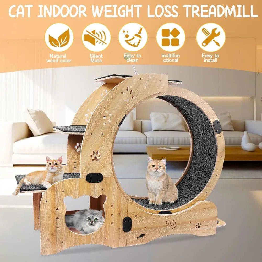 Upgraded Cat Wheel.