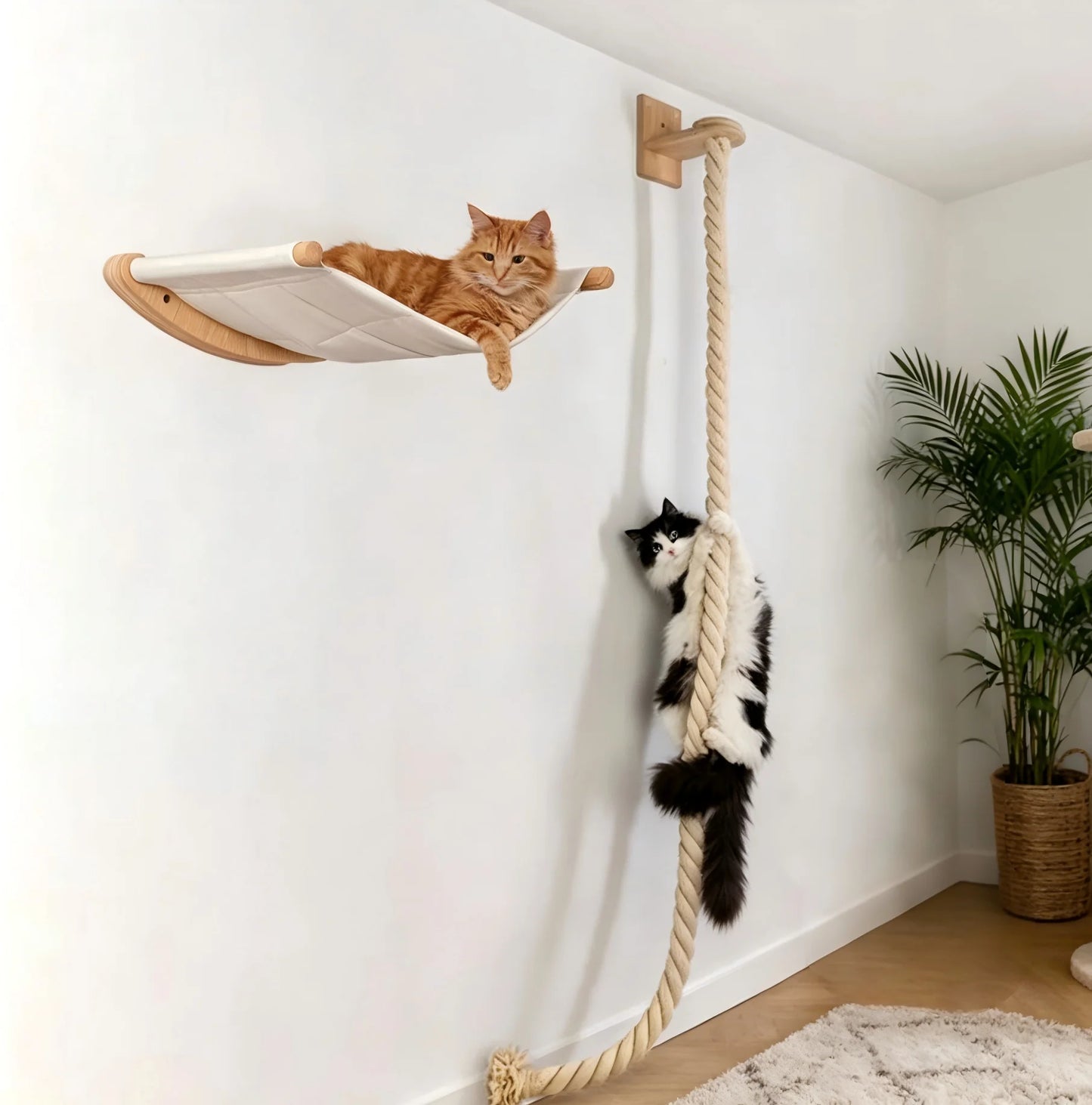 Wall Mounted Cat Hammock Set.