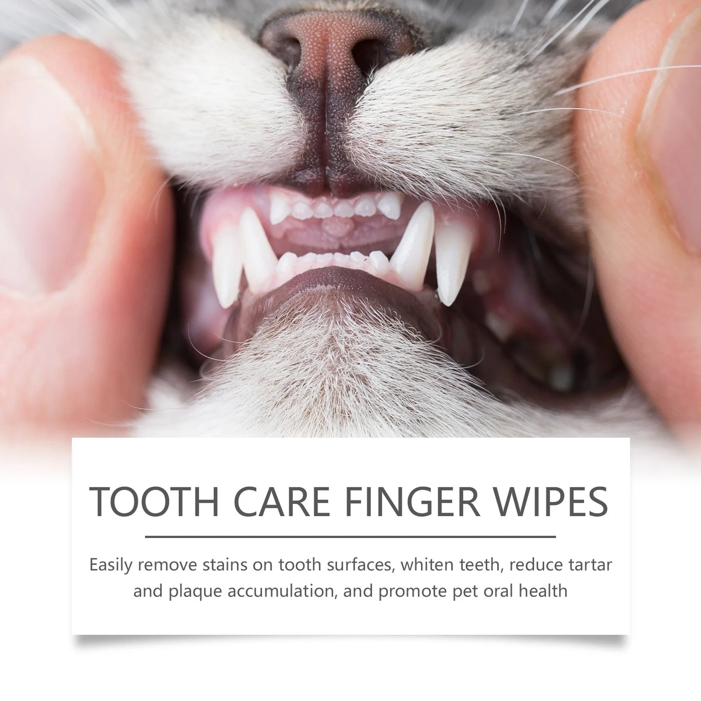 Pet Dental Finger Wipes.