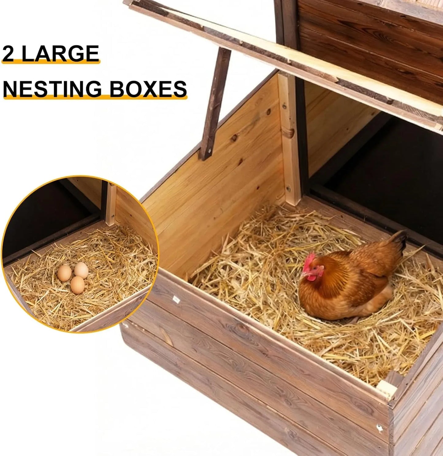 Chicken Coop with 2 Nesting Boxes.