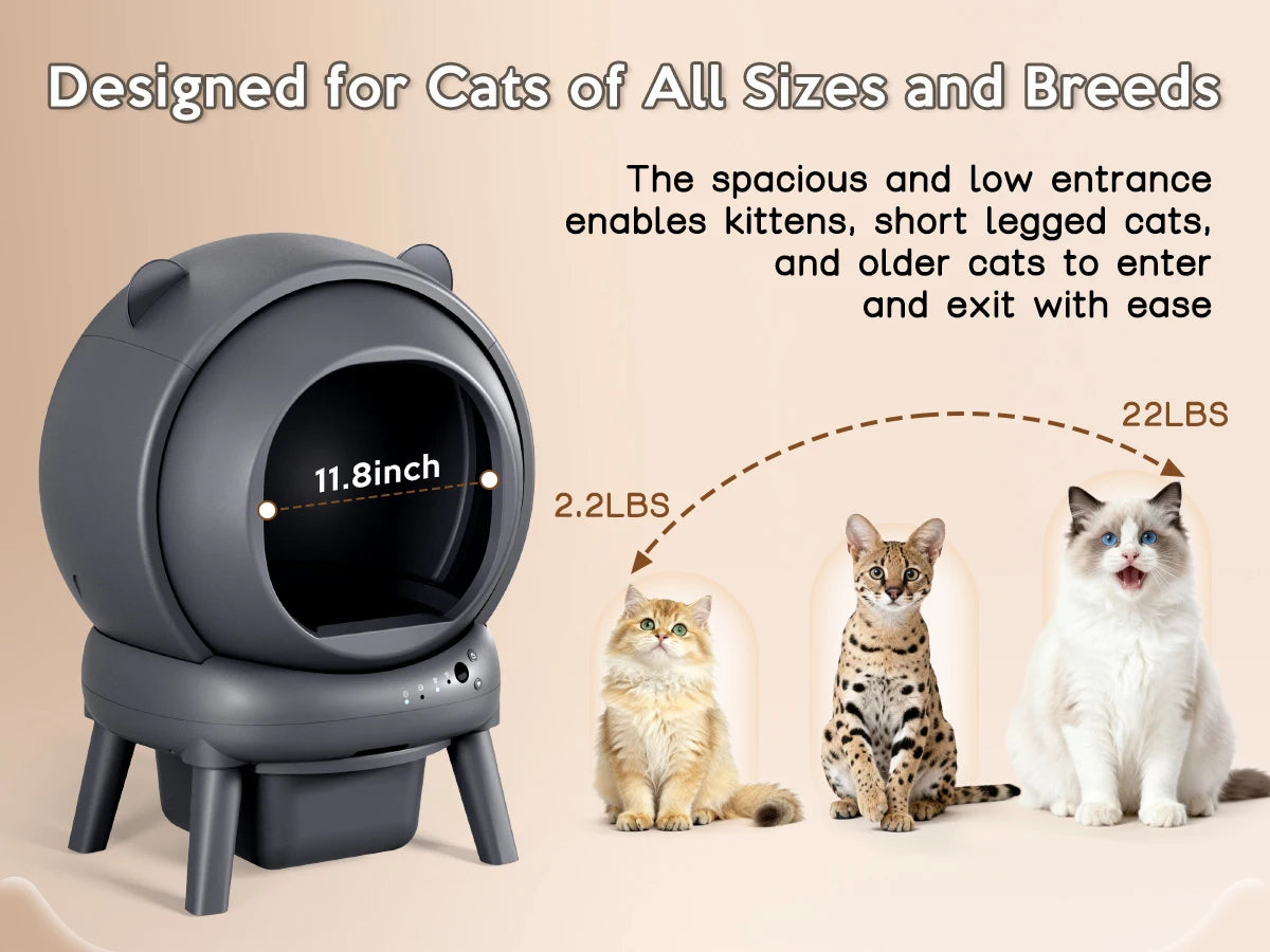 The Cambridge Self-Cleaning Litter Box.