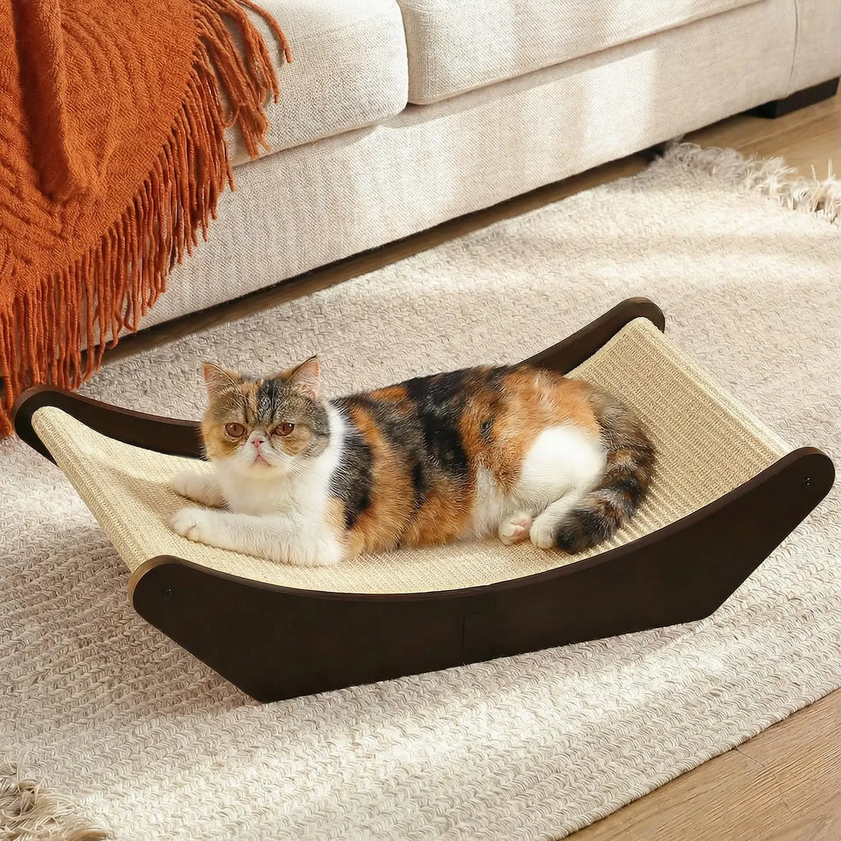 Cat Scratcher & Lounging Bed.