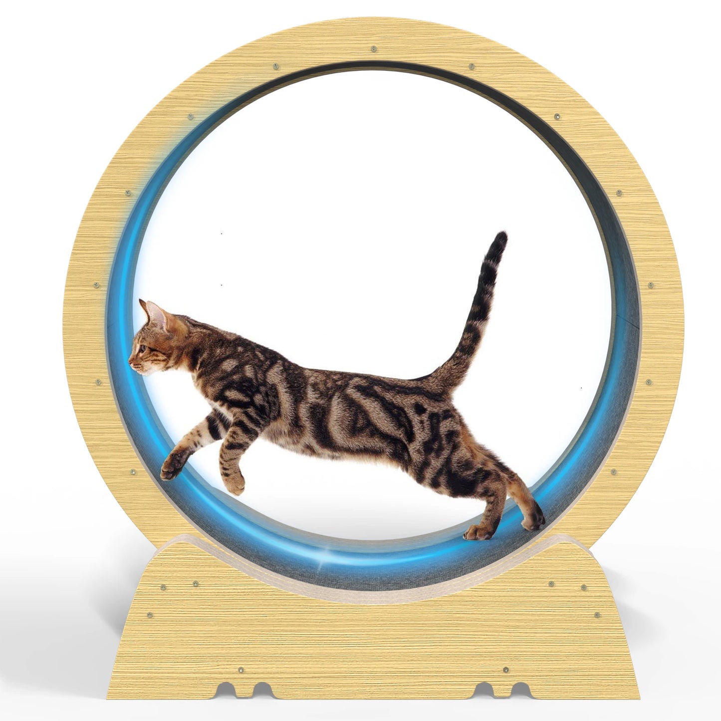 Cat Wheel.