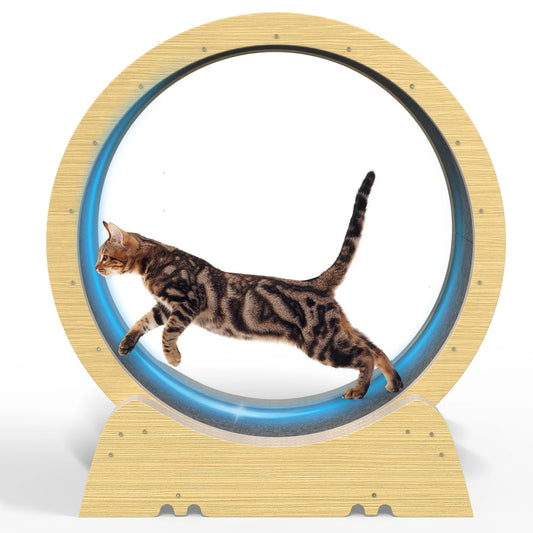 Cat Wheel.