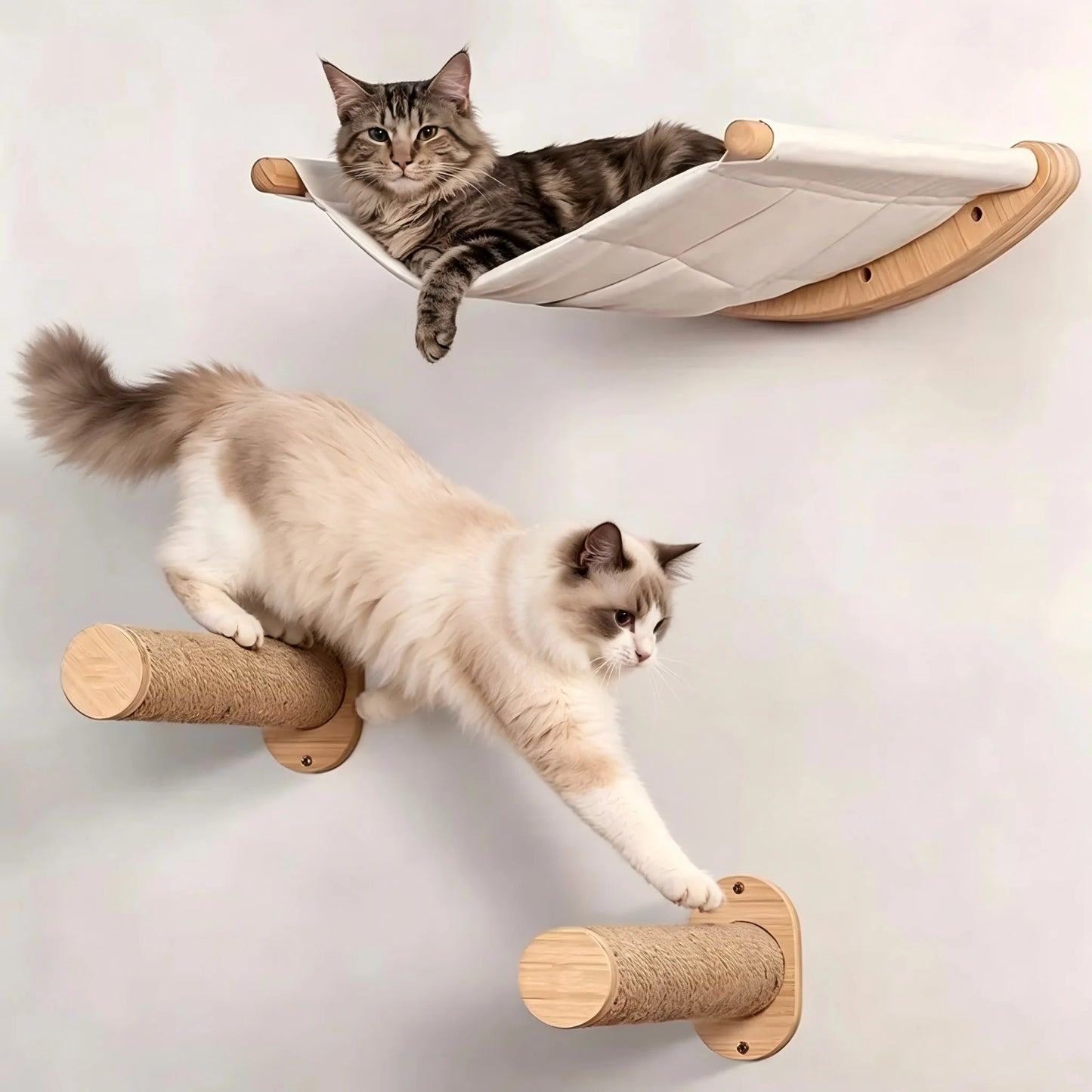 Wall Mounted Cat Hammock Set.
