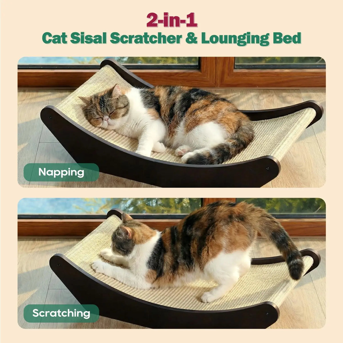 Cat Scratcher & Lounging Bed.