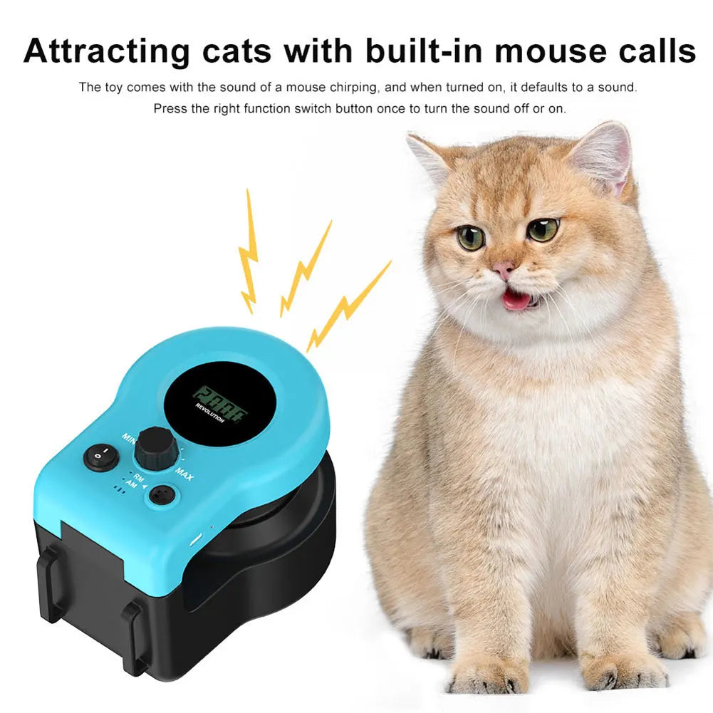 Interactive Cat Toy.