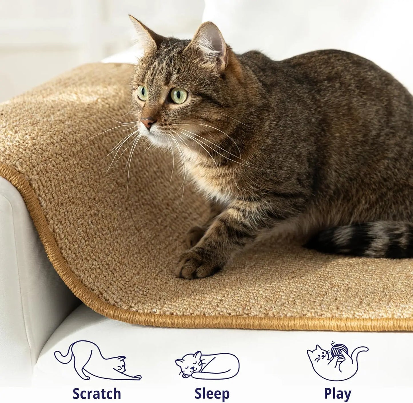 Cat Wall Climbing Carpet.