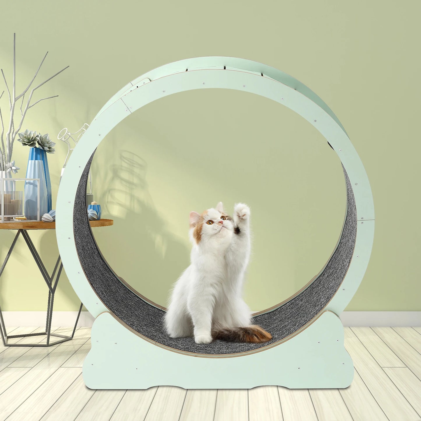 Cat Exercise Wheel Treadmill.