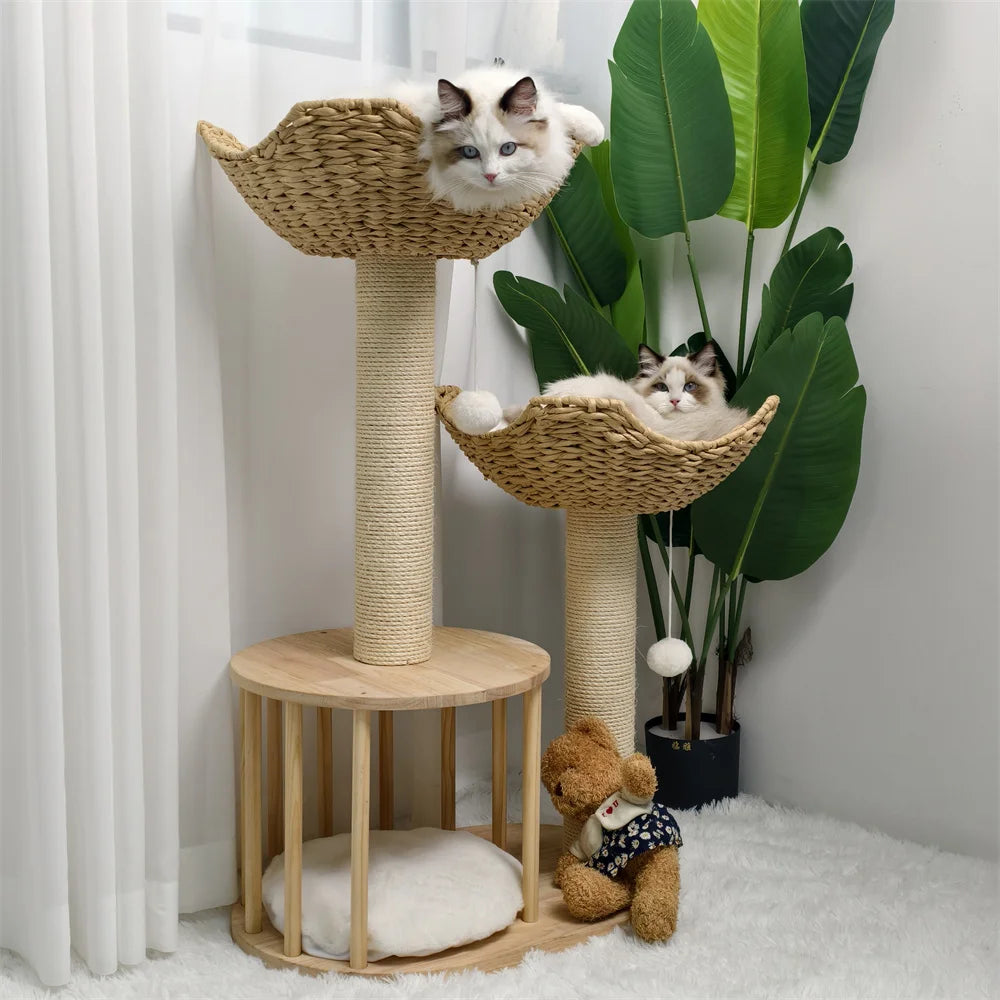 Cat Tree.