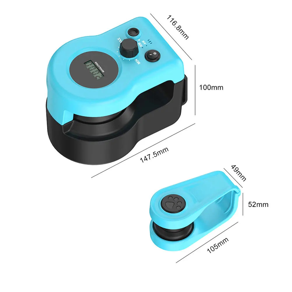 DIY Mouse Hunting Toy.