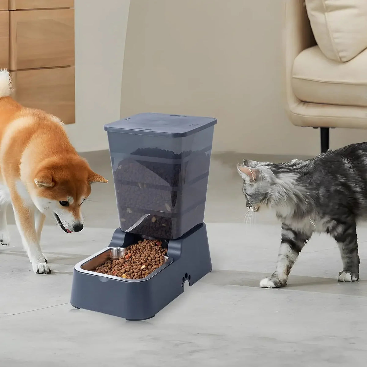 Pets Auto Feeder.
