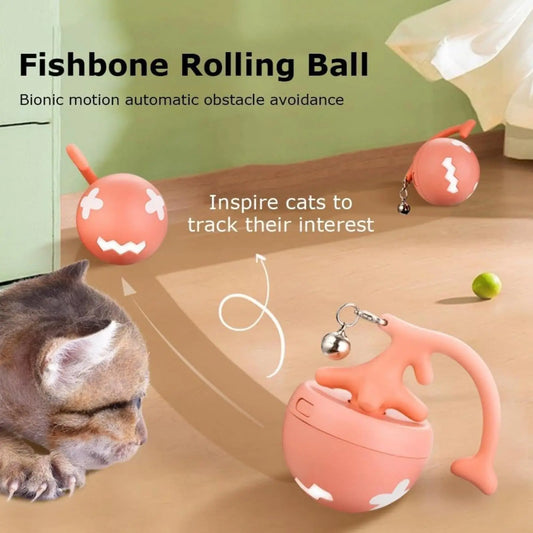 Cat Toy Fish Bone Spinning Ball.