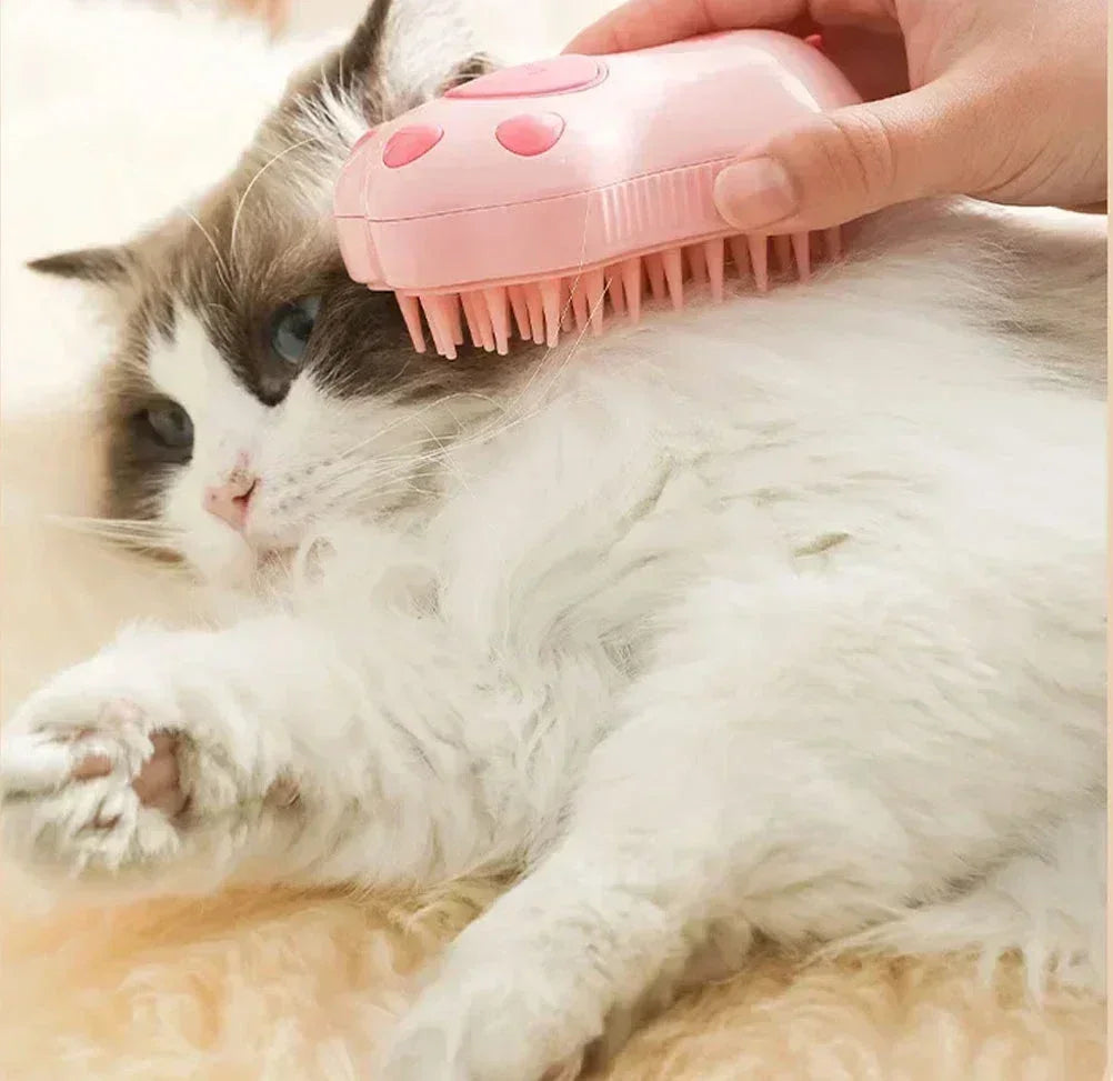 Cat Steam Brush.