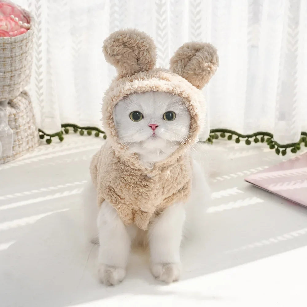 Cat Autumn/Winter Hoodies.