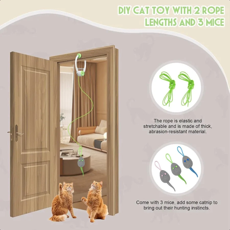 Interactive Hanging Door Cat Toy.