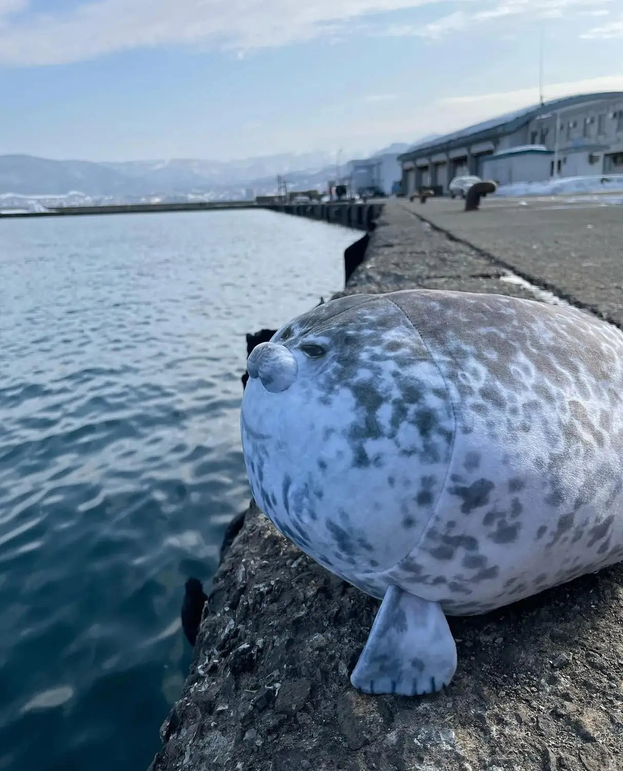Large Seal Plush Pillow.