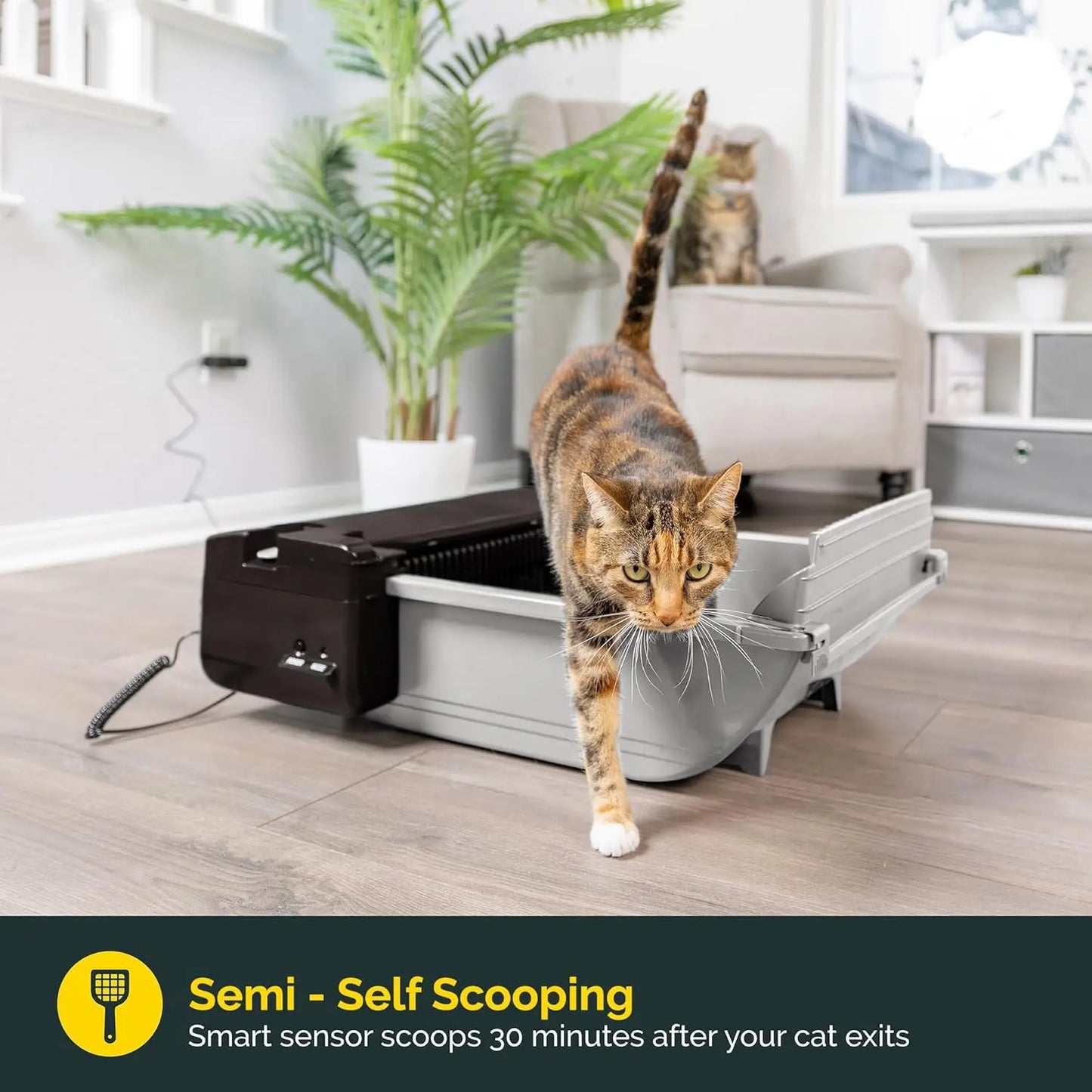Self Cleaning Automatic Cat Litter Box.